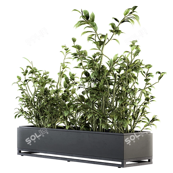 138 Piece Indoor Ficus Plants Set 3D model image 2