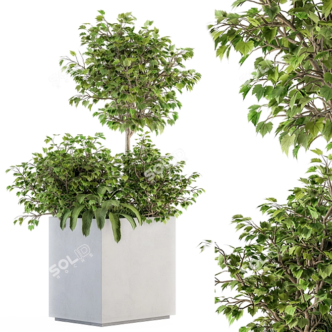 Metal Pot Outdoor Plant Set 3D model image 1