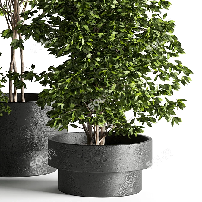 Modern Indoor Plant: 3D Model with 3Dmax & Vray 3D model image 2