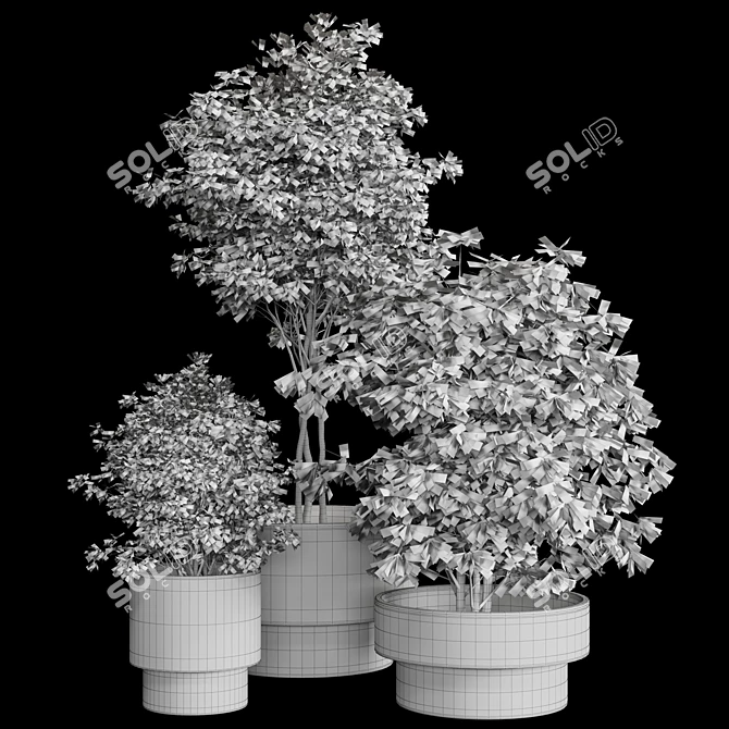 Modern Indoor Plant: 3D Model with 3Dmax & Vray 3D model image 5
