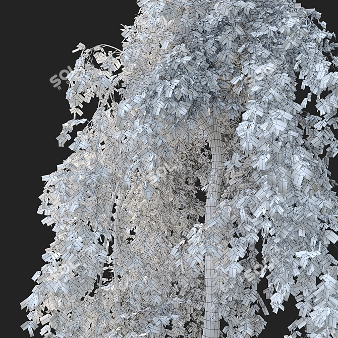 Pair of Petite Weeping Trees 3D model image 5