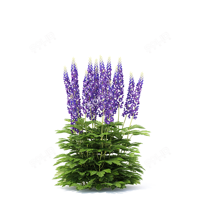 Hybrid Delphinium Flowers Impressive Collection 3D model image 5