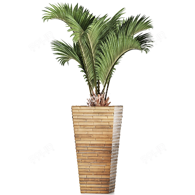 Tropical Oasis: Palm Collection 3D model image 2