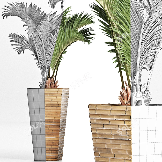 Tropical Oasis: Palm Collection 3D model image 3