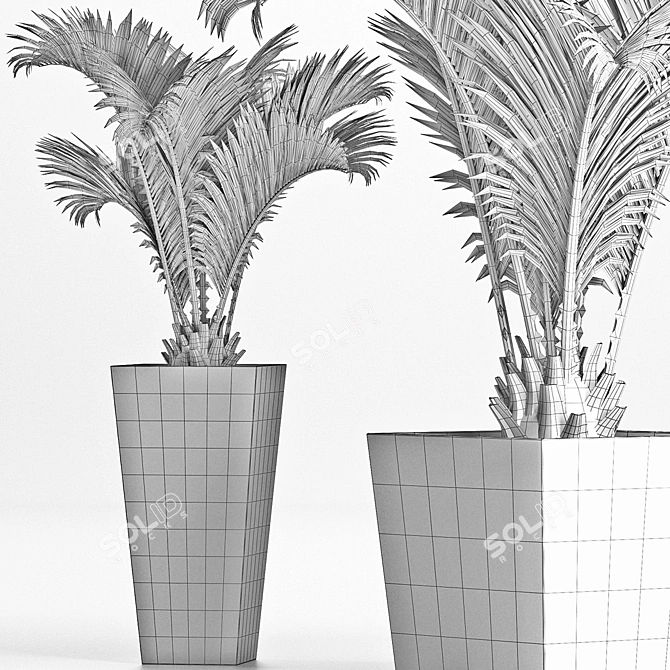 Tropical Oasis: Palm Collection 3D model image 5