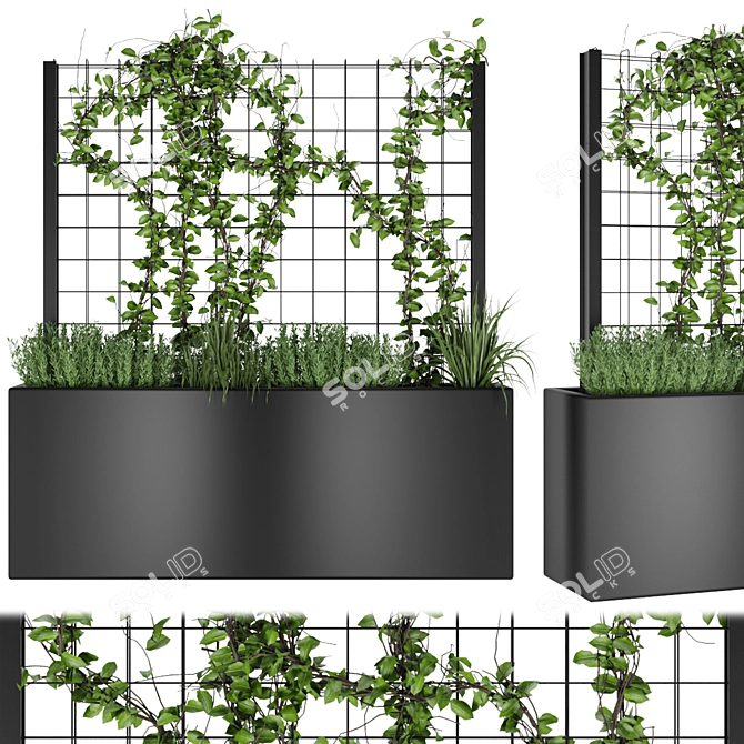 Premium Plant Collection Vol. 36 3D model image 1