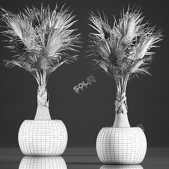 Exotic Palm Plant Collection in Rattan Basket 3D model image 5