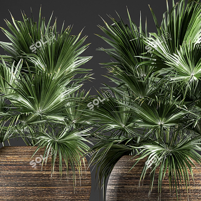Exotic Palm Collection in Rattan Basket 3D model image 2