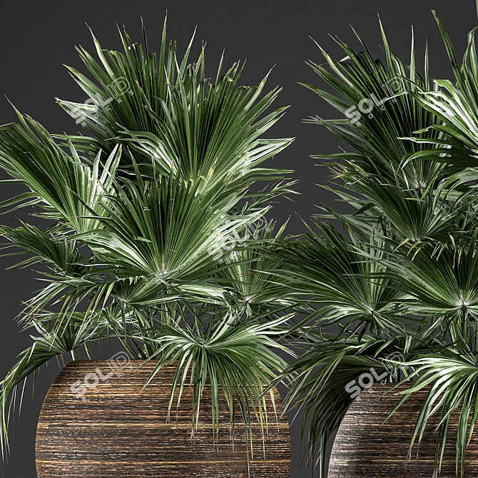 Exotic Palm Collection in Rattan Basket 3D model image 3