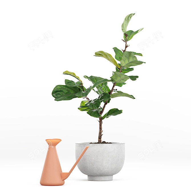 Lush Fiddle-Leaf Fig Tree 3D Model 3D model image 1