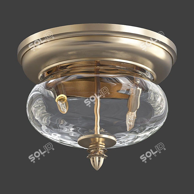 Sleek Black Outdoor Ceiling Light 3D model image 1