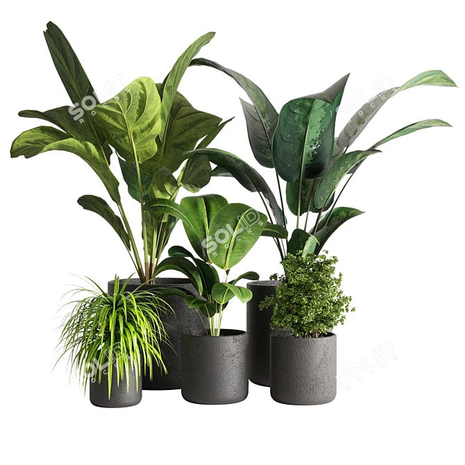 Greenery Delight: Indoor Plant 09 3D model image 1