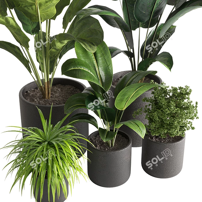 Greenery Delight: Indoor Plant 09 3D model image 2