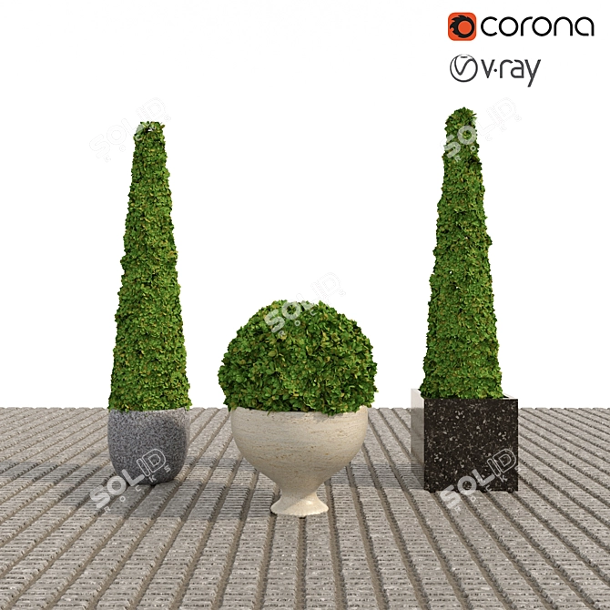  Elegant Boxwood Set: Perfect for 3D Rendering 3D model image 1