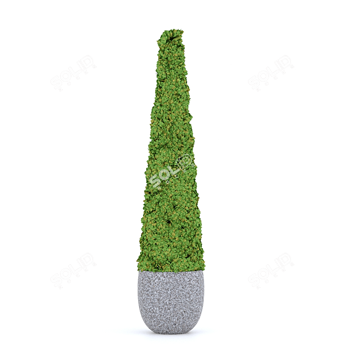  Elegant Boxwood Set: Perfect for 3D Rendering 3D model image 6