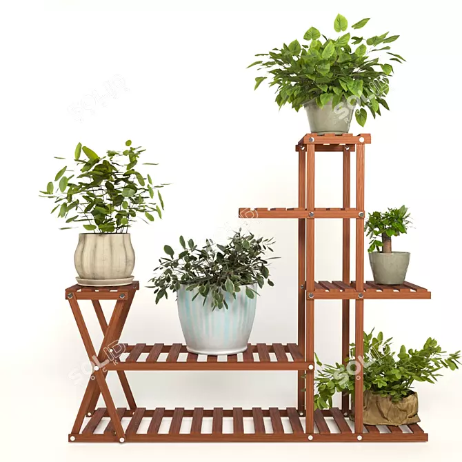 PBR Indoor Plant Collection 3D model image 1