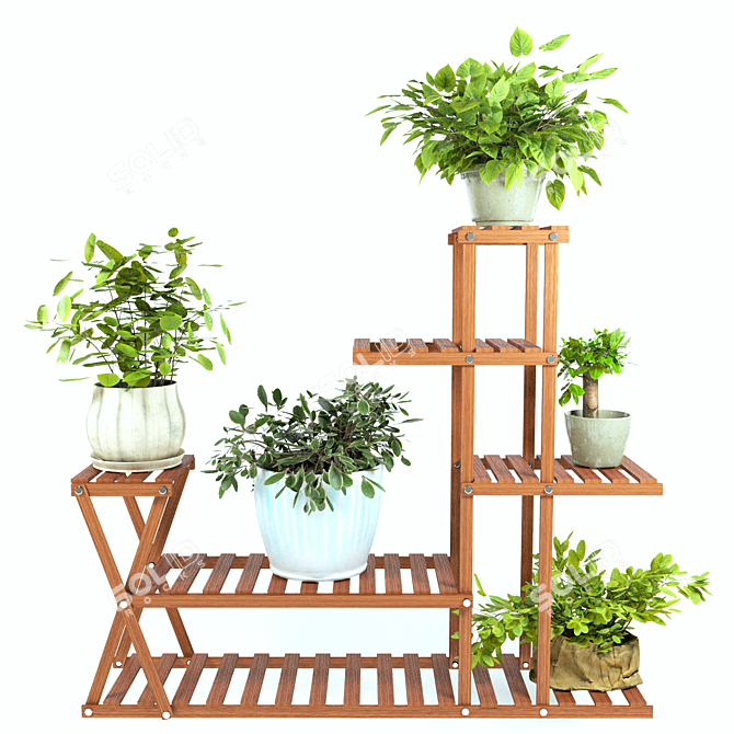 PBR Indoor Plant Collection 3D model image 6