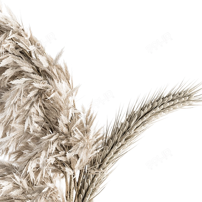 Nature's Essence - Dried Plant Set 3D model image 4