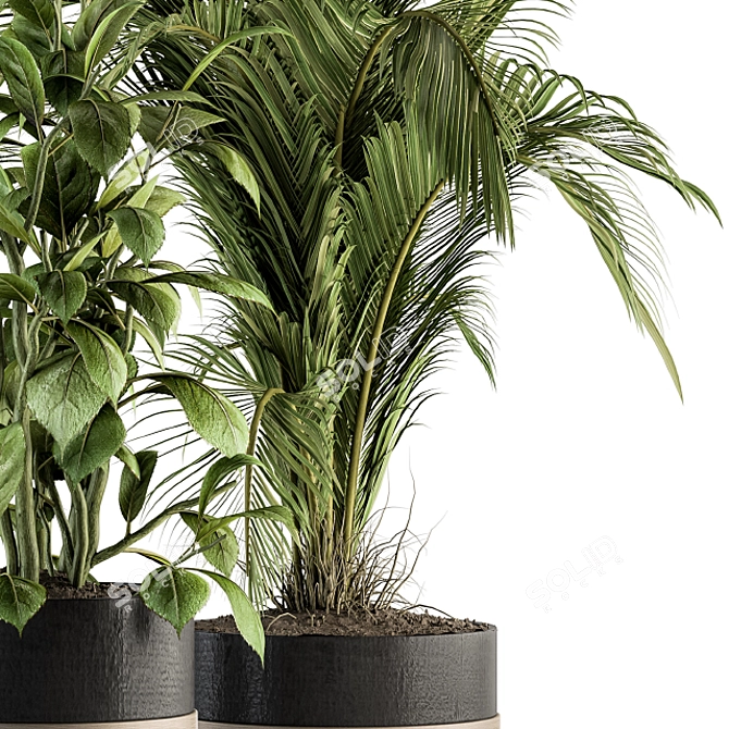 Botanical Bliss Set: 136 Indoor Plants 3D model image 3