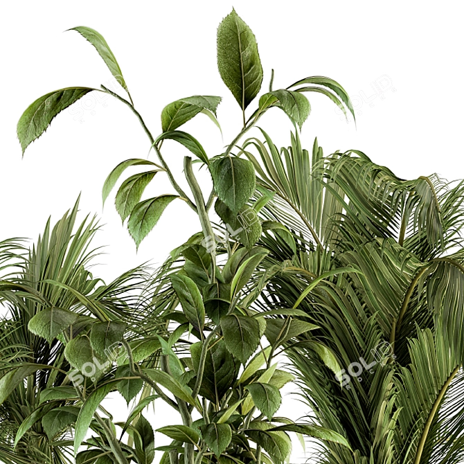 Botanical Bliss Set: 136 Indoor Plants 3D model image 4