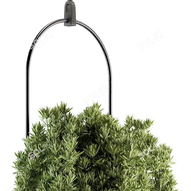 Lush Greenery Hanging Plant Set 3D model image 2