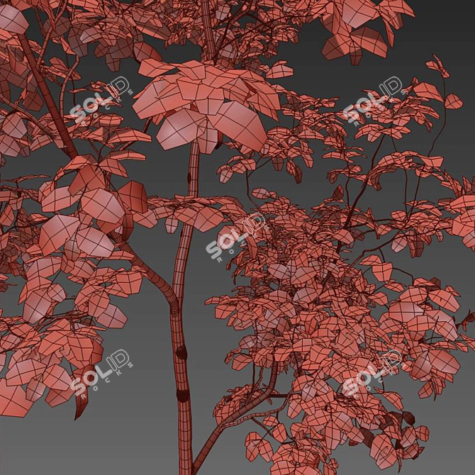 Mighty Oak Saplings Bundle 3D model image 4