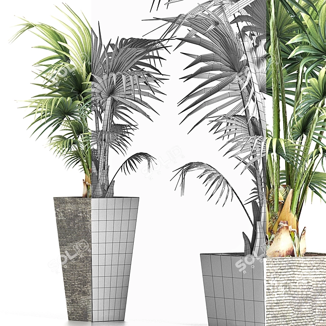 Tropical Plant Collection 190 3D model image 3