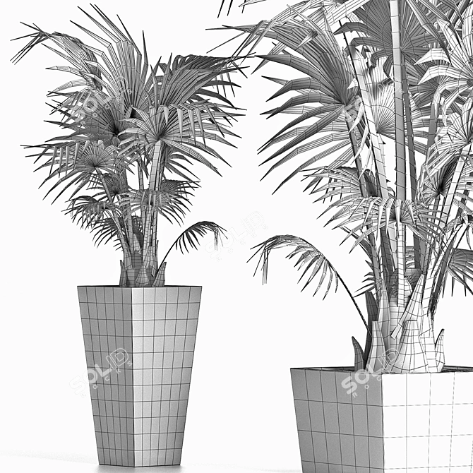 Tropical Plant Collection 190 3D model image 5