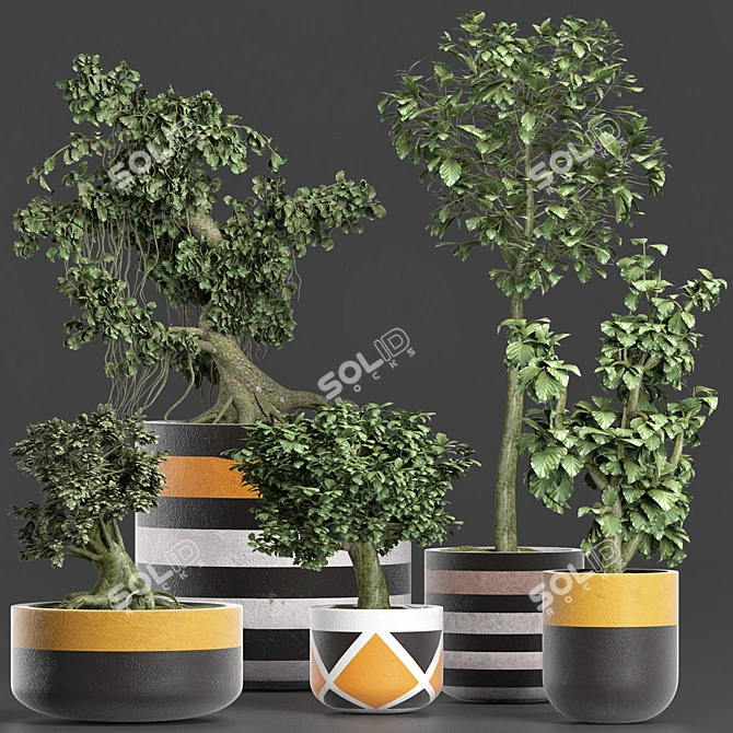 Exotic Mini Bonsai Collection: Sageretia Theezans 3D model image 1