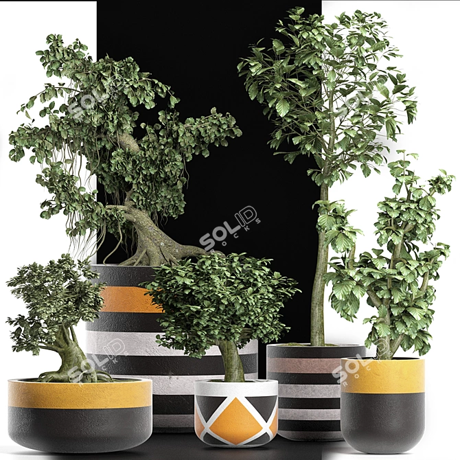 Exotic Mini Bonsai Collection: Sageretia Theezans 3D model image 2