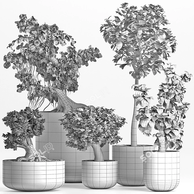 Exotic Mini Bonsai Collection: Sageretia Theezans 3D model image 5