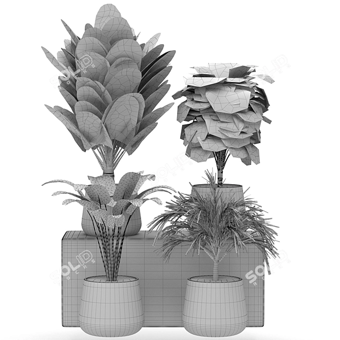 Indoor Jungle: Houseplant Collection 3D model image 2