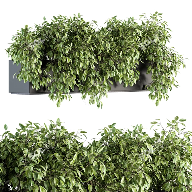 Lush Ivy Indoor Set - 160 3D model image 1