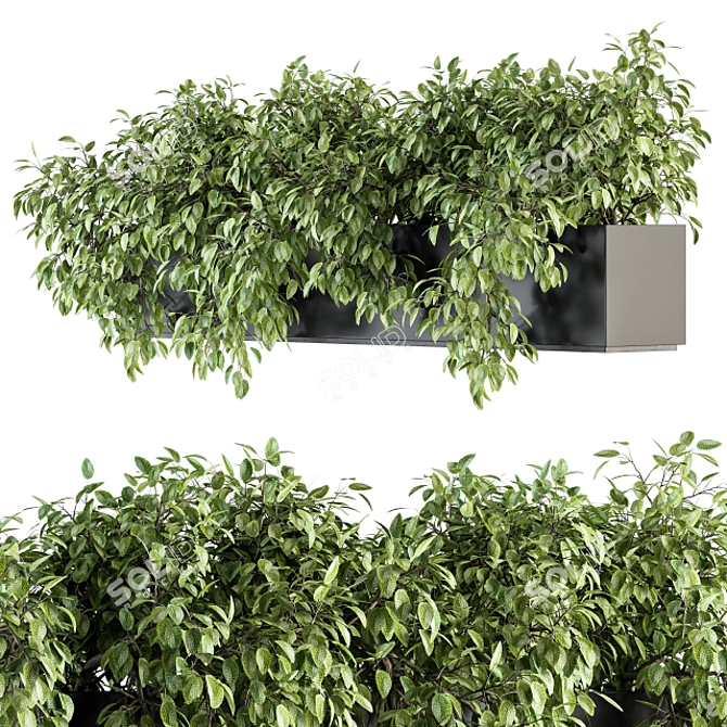 Lush Ivy Indoor Set - 160 3D model image 2