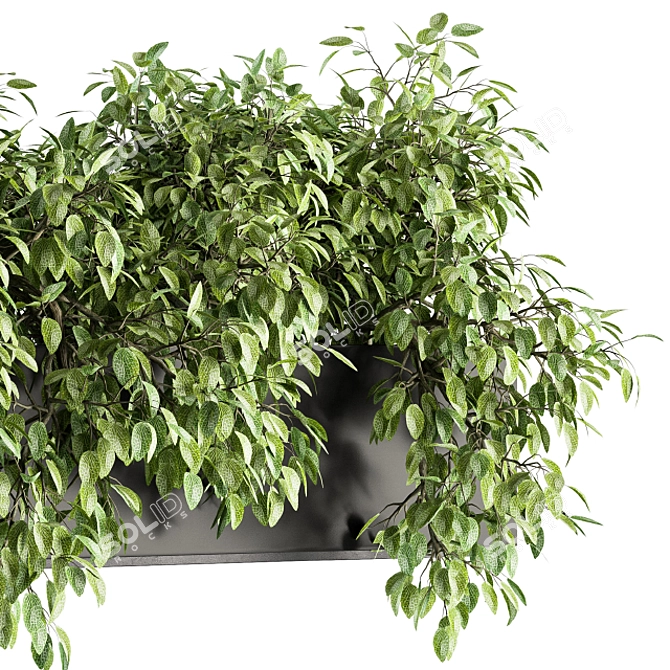 Lush Ivy Indoor Set - 160 3D model image 3