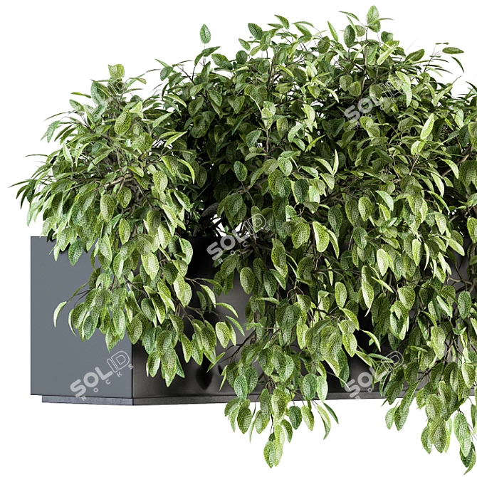 Lush Ivy Indoor Set - 160 3D model image 4