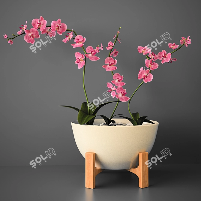 Delicate Orchid Bloom 3D model image 1