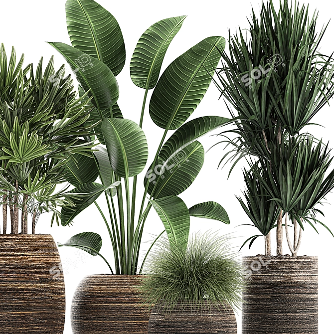 Exotic Plant Collection in Rattan Basket 3D model image 3