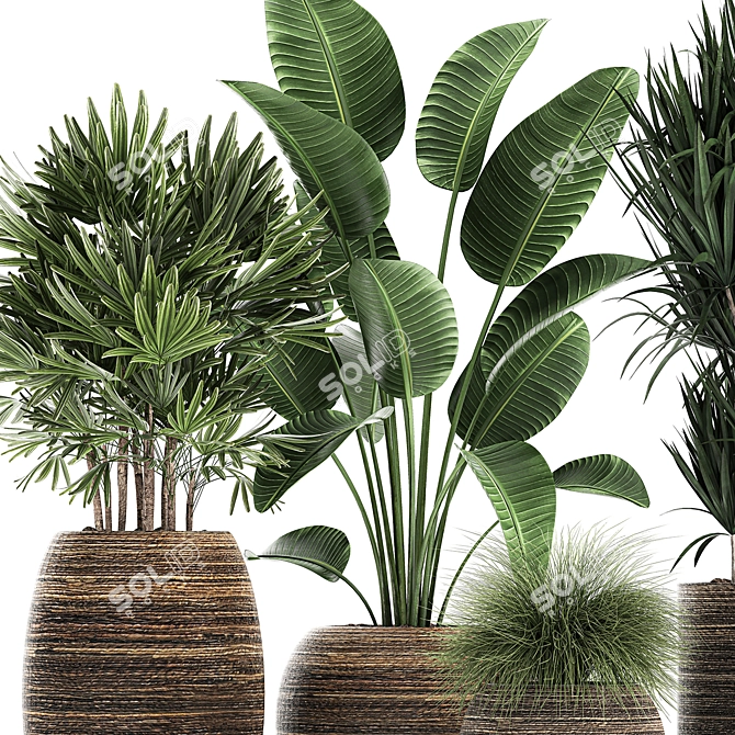 Exotic Plant Collection in Rattan Basket 3D model image 4