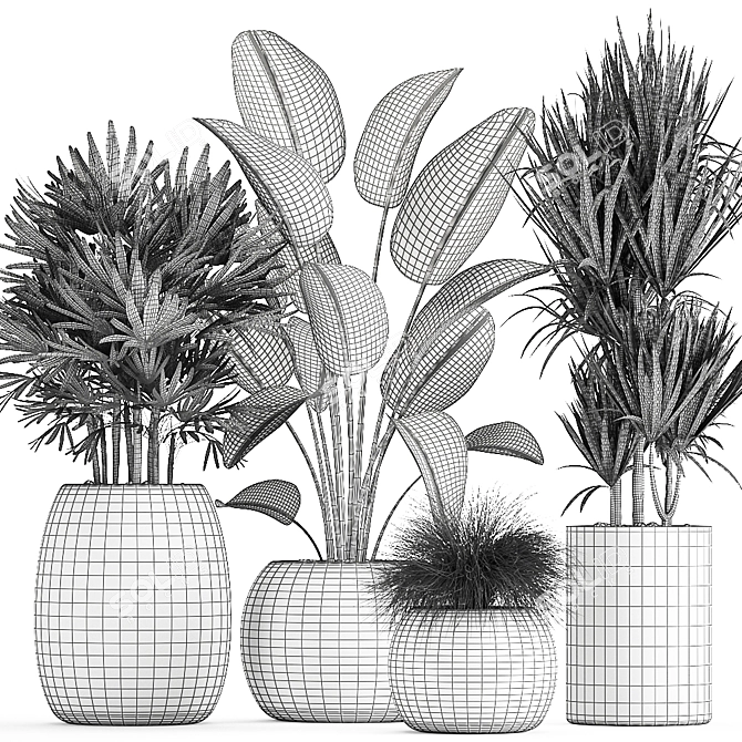 Exotic Plant Collection in Rattan Basket 3D model image 5