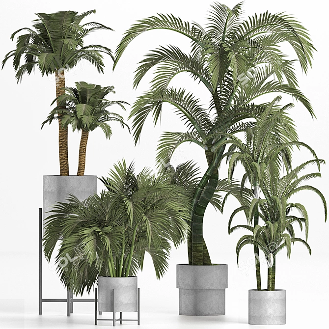 Tropical Palms Collection 3D model image 1