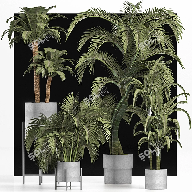 Tropical Palms Collection 3D model image 4