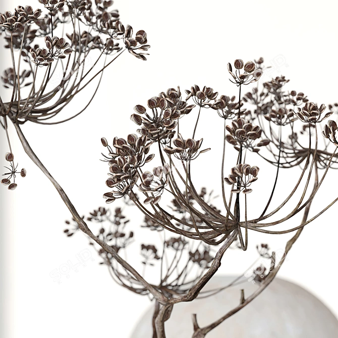 Ceramic & Heracleum Decor Set 3D model image 2