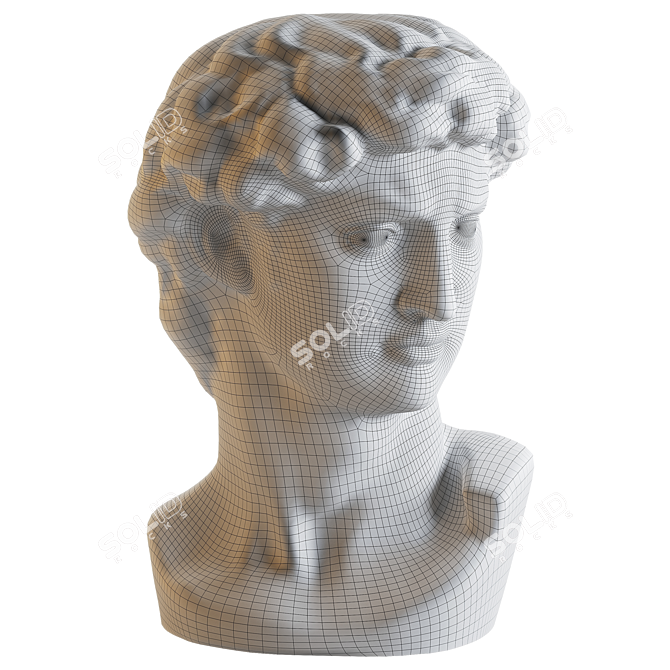 Detailed Polyresin David Bust 3D model image 3