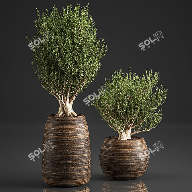 Exotic Plant Collection in Rattan Basket 3D model image 4