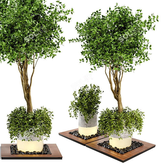 Natural Wood & Concrete Outdoor Plant Set 3D model image 1