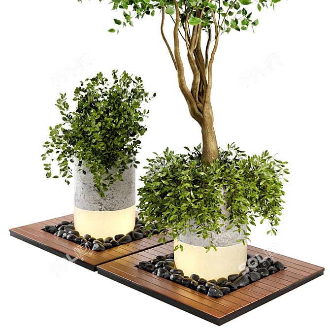 Natural Wood & Concrete Outdoor Plant Set 3D model image 3