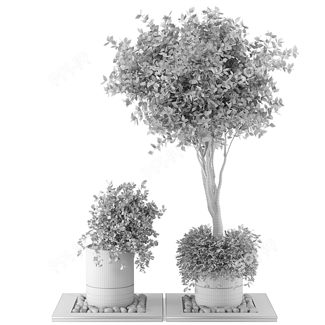 Natural Wood & Concrete Outdoor Plant Set 3D model image 5