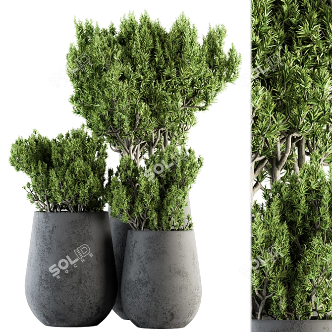 Greenery Oasis: Indoor Plant Set 3D model image 1