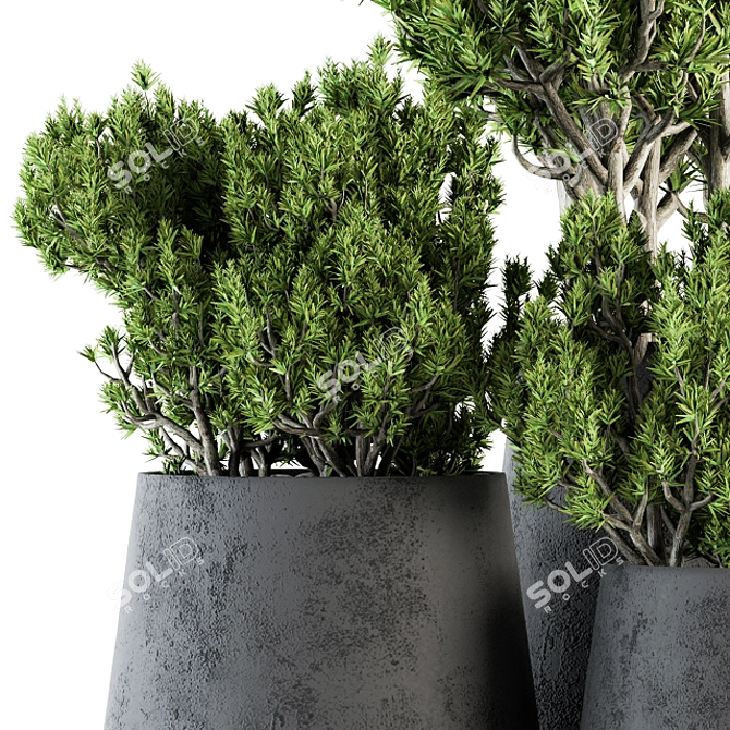 Greenery Oasis: Indoor Plant Set 3D model image 4